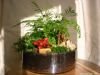 petit_jardin_1.jpg