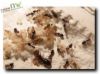 crematogaster_scutellaris_2.jpg