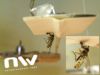 La force d'une Crematogaster scutellaris