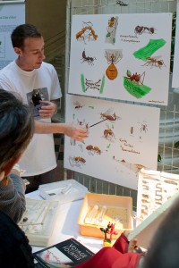 Le stand "fourmis" BlogNature à la fête de la science 2012 en Avignon