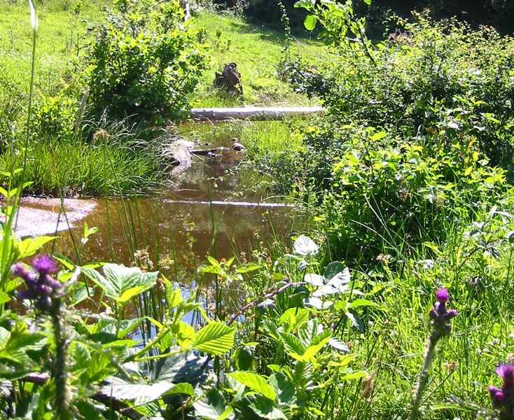 Cascade pour bassin de jardin extérieur, cours d'eau artificiels