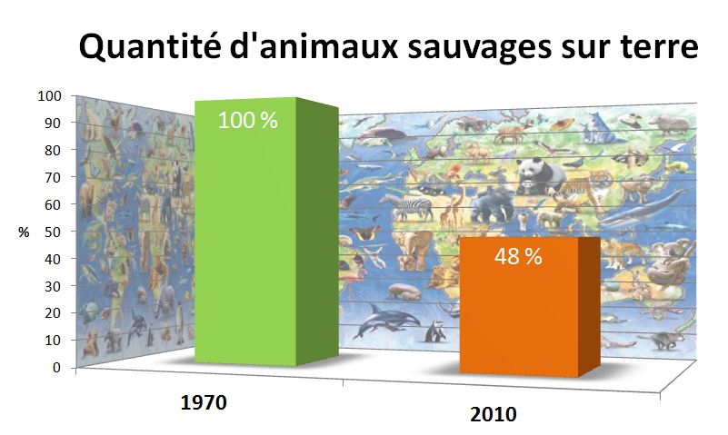 Disparition des animaux sauvages 1970-2010