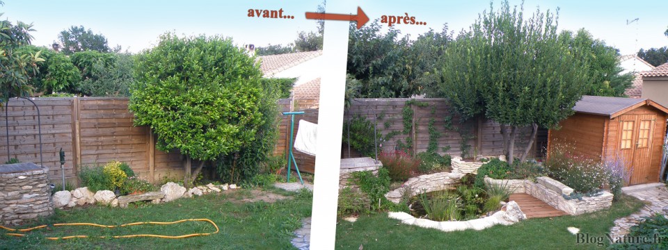 bassin_jardin_avant_apres_Blognature