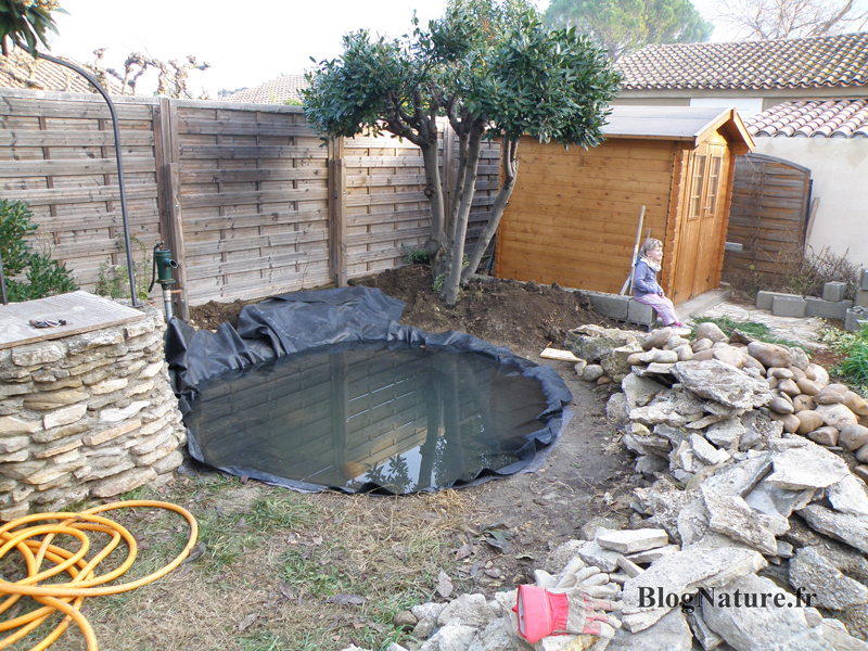 Rêve de gosse : un bassin dans le jardin ! blognature.fr Bassin décor Jardin