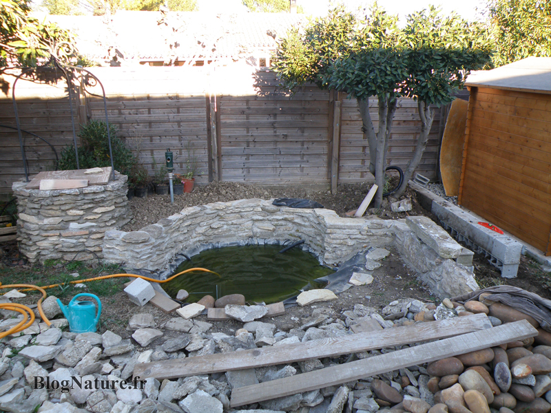 Rêve de gosse : un bassin dans le jardin ! blognature.fr Bassin décor Jardin
