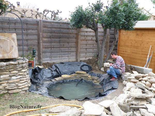 Rêve de gosse : un bassin dans le jardin ! blognature.fr Bassin décor Jardin