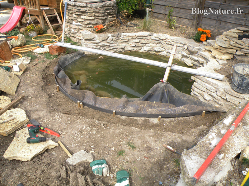Rêve de gosse : un bassin dans le jardin ! blognature.fr Bassin décor Jardin