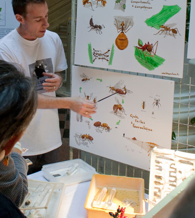 Le stand "fourmis" BlogNature à la fête de la science 2012 en Avignon