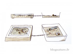 Fourmilière alternative avec aire de récolte séparée