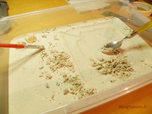 6. Creusage du nid