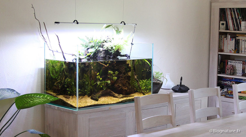aquarium_ouvert_low_tech_blognature