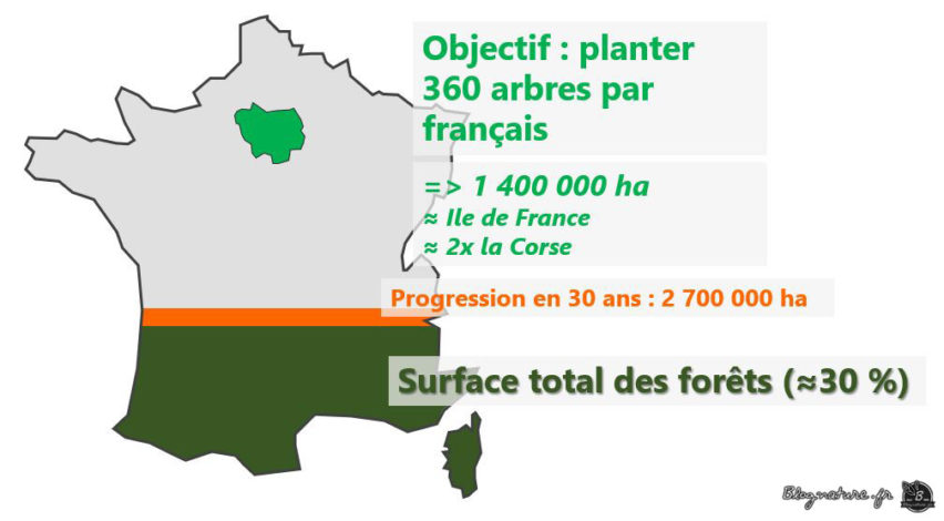 planter arbres carbone