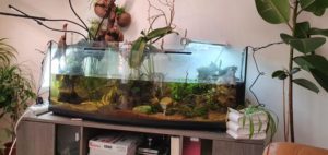 aquarium.jpg