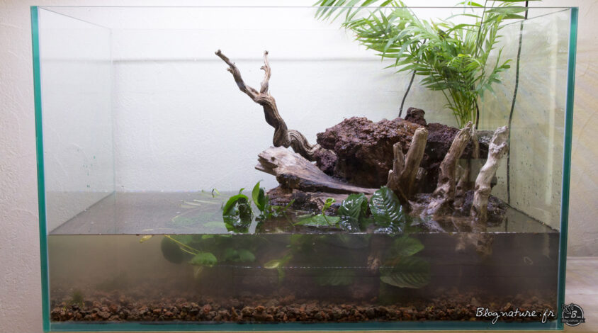 décorer aquarium naturel